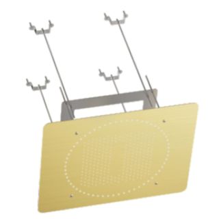 Верхний душ потолочный Raglo R452.03.03 59 см золотой сатин